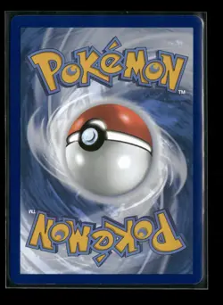 Squawkabilly ex 169/193 Paldea Evolved DOUBLE RARE Holo Pokemon Card NM - Image 2