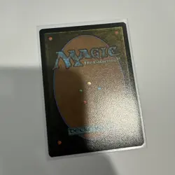 Second Harvest 0530 Non-Foil NM Fresh Hildebrandt MTG LTR - Image 2