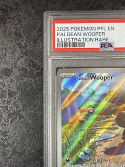 2025 POKEMON PFL EN PALDEAN WOOPER ILLUSTRATION ARE #102 - PSA 8 - Image 3