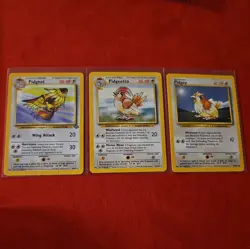 Pokemon Vintage Non-holo Rare Pidgeot Jungle 24/64 WotC 1999 Wizards TCG LP - Image 1