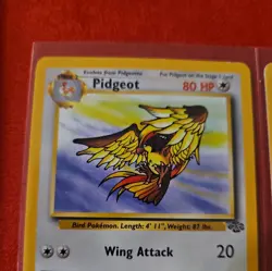 Pokemon Vintage Non-holo Rare Pidgeot Jungle 24/64 WotC 1999 Wizards TCG LP - Image 5