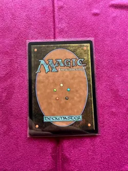 Mayor Tong of Chin Village - Drannith Magistrate (Borderless) Avatar - NM - Image 2