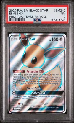 2020 POKEMON SM BLACK STAR PROMO TAG TEAM POWERS COLL #SM242 EEVEE GX PSA 7 - Image 1