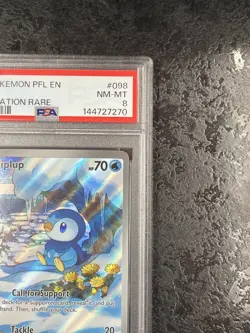 2025 POKEMON PFL EN PIPLUP ILLUSTRATION RARE #098 - PSA 8 - Image 2