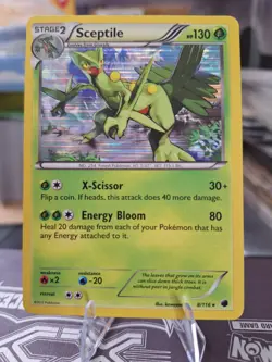 2013 Pokemon Black & White Plasma Freeze Sceptile Holo 8/116 Rare Pokemon MP - Image 1