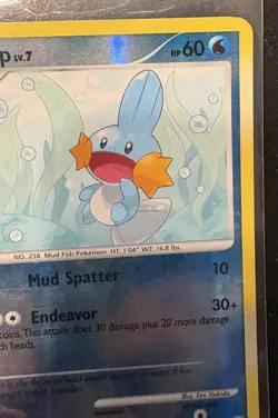 Mudkip 80/106 Great Encounters Reverse Holo Pokemon LP - Image 3