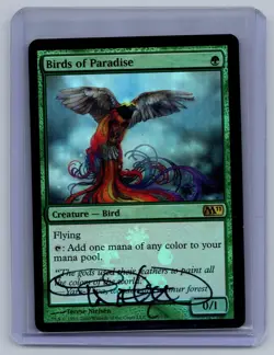 (#252) mtg SIGNED Birds of Paradise 4x PLAYSET - Buy-A-Box Promos FOIL Played - Image 4