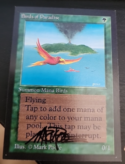 MTG Magic 1 x Birds of Paradise x 1 - Artist Signed Collector's Edition - Image 1
