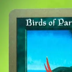 2000 MTG WORLD CHAMPIONSHIP BIRDS OF PARADISE #217 AUTO SIGNED BY JANOSCH KUHN - Image 3