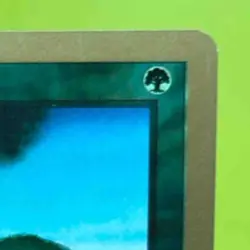 2000 MTG WORLD CHAMPIONSHIP BIRDS OF PARADISE #217 AUTO SIGNED BY JANOSCH KUHN - Image 5