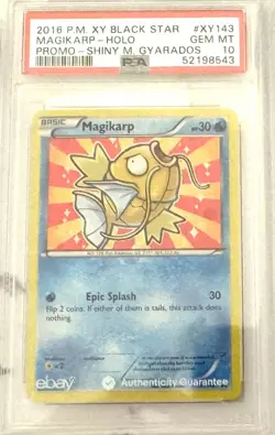 Pokemon Magikarp Holo Black Star Promo 2016 Shiny #XY143 PSA 10 Gem Mint - Image 2