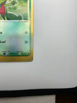 Pokemon TCG Treecko 76/109 Reverse Holo Common Ruby and Sapphire Edition - LP/NM - Image 3