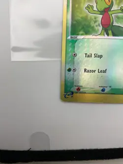 Pokemon TCG Treecko 76/109 Reverse Holo Common Ruby and Sapphire Edition - LP/NM - Image 4