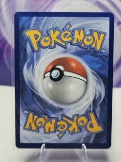 Mega Kangaskhan ex MEP025 Black Star Promo Holo Pokemon Mega Evolution NM - Image 2