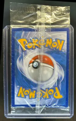 2023-25 Pokemon SV Black Star Promos - SVP EN Charmander #044 - Image 2