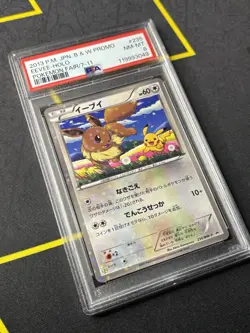 PSA 8 Eevee - 2013 JPN B&W PROMO POKEMON FAIR 7-11 #235 HOLO CARD - NM-MT - Image 3