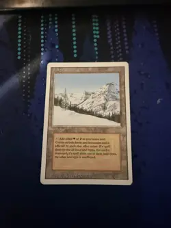 MtG Taiga Revised MP (see photos) - Image 1