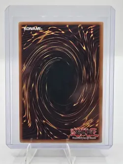 Yu-Gi-Oh! Elemental HERO Neos -CT03-EN001 -Secret Rare - Limited Edition LP - Image 5