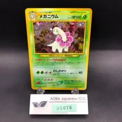 Meganium Holo Neo Premium File Promo - Japanese Pokemon Card - 2000 - Image 1