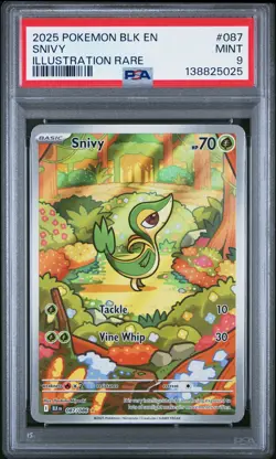 2025 POKEMON BLK EN-BLACK BOLT ILLUSTRATION RARE #087 SNIVY PSA 9 - Image 1