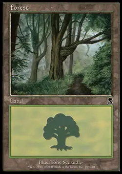 Forest (350) - Foil HP, English MTG Odyssey - Image 1