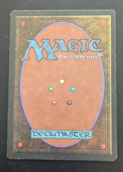 MTG Tundra Revised Edition - See picts for condition - Image 2