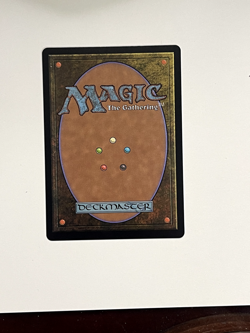 Springleaf Parade (Extended Art) Commander: Lorwyn Eclipsed Regular - Image 2