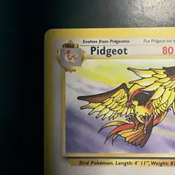 Pokemon Vintage Non-holo Rare Pidgeot Jungle 24/64 WotC 1999 - Image 2