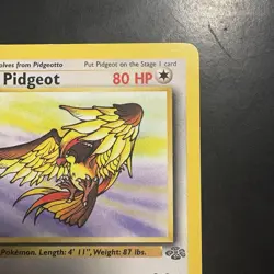 Pokemon Vintage Non-holo Rare Pidgeot Jungle 24/64 WotC 1999 - Image 3