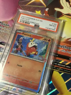 2024 Pokemon SVP EN Fuecoco Pokemon Horizons #192 PSA 8 NM MINT STAMPED PROMO - Image 2