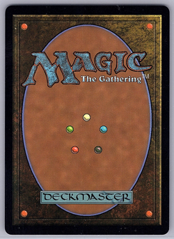 MTG United Front (Borderless Foil) Avatar: The Last Airbender 331 NM - Image 2