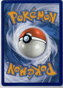 Palafin SVP 036 Stamped Pre Release Obsidian Flames Promo Pokemon TCG NM - Image 2