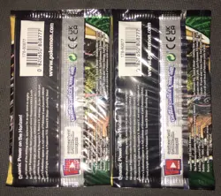 Pokemon TCG Sword & Shield Evolving Skies Factory Sealed Booster Packs Lot Of 2 - Image 2