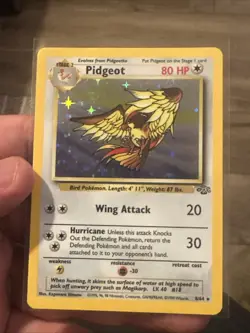 Pidgeot 8/64 Holo Rare Jungle Set Unlimited Edition Pokemon Card 1999 WOTC - Image 2