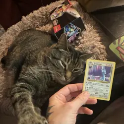 Dragonair 18/102 Base Set Uncommon Wizards of the Coast Pokemon Card TCG 1999 NM - Image 4