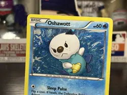 Pokemon TCG Black & White - Oshawott #BW08 - Holo Promo Card - Image 2