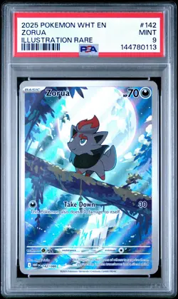 144780113 Zorua 2025 Pokemon White Flare #142 Illustration Rare PSA 9 - Image 1