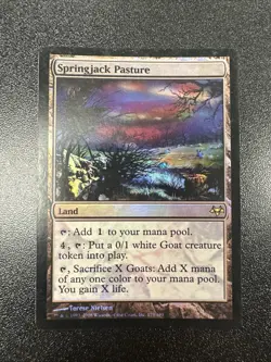 Magic the Gathering MTG Card Springjack Pasture Eventide 179/180 Foil Rare NM JL - Image 1