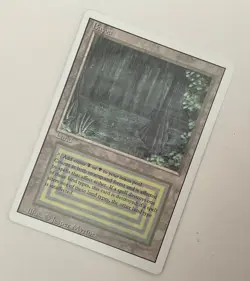 Bayou Revised Edition Regular - Image 1