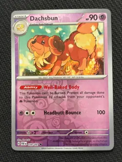 Dachsbun - Reverse Holo - Paldean Fates - Pink & Pastel Pokemon Gallery - Image 1