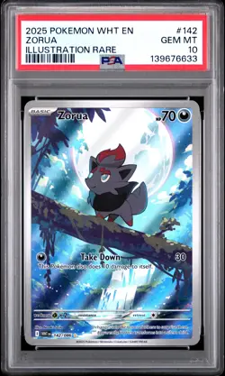 2025 POKEMON WHT EN-WHITE FLARE ILLUSTRATION RARE #142 ZORUA PSA 10 - Image 1