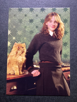 Hermione Granger Harry Potter Evolution TCG Cards English Italy Panini #40 - Image 1