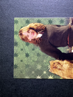 Hermione Granger Harry Potter Evolution TCG Cards English Italy Panini #40 - Image 2