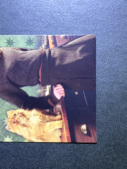 Hermione Granger Harry Potter Evolution TCG Cards English Italy Panini #40 - Image 3