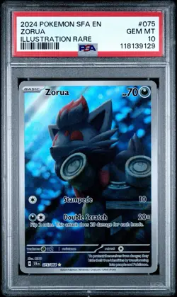2024 Pokemon SV Shrouded Fable SFA EN Zorua #075/064 PSA 10 - Image 1