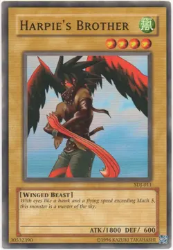 Yu-Gi-Oh | Harpie's Brother | SDJ-011 | Unlimited - Common | Near Mint - Image 1