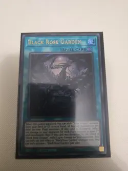 Black Rose Garden DOOD-EN055 Ultra Rare 1st Edition NM Yugioh - Image 1