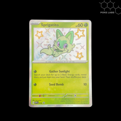 Baby Shiny Lot of 6 - Paldean Fates | Pokemon TCG - NM - Image 2