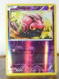 Venipede - XY base set - singles - 51/146 - Pokemon TCG - Reverse Holo - Image 1