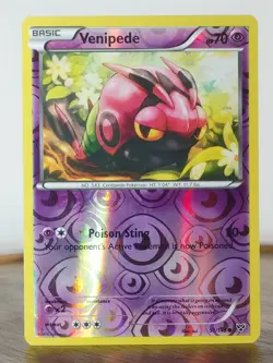 Venipede - XY base set - singles - 51/146 - Pokemon TCG - Reverse Holo - Image 3